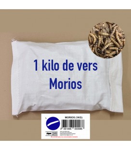 1 Kg de Vers Morios