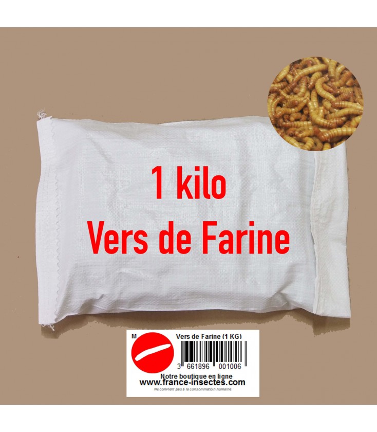 Vers de farine LPO 1 kg