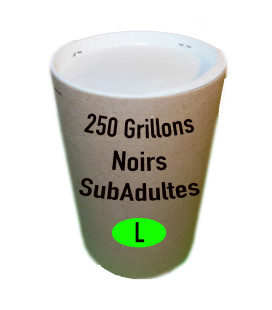 Grillons Noirs Adultes (Taille 8) Tube de 250