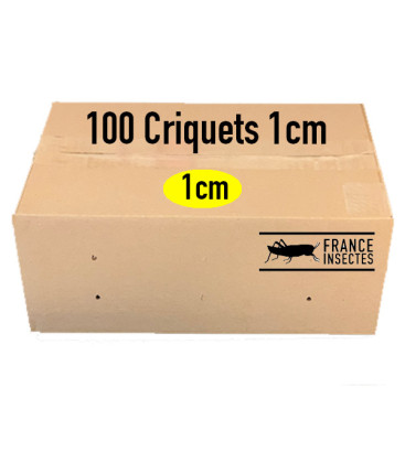 Criquets 1 cm carton de 100