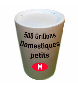 Tube de 500 Grillons Domestiques Moyens Taille 5