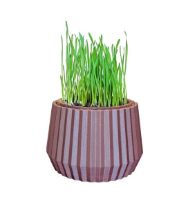 habillage Pot Design pour pot herbe à chat (Made In france)