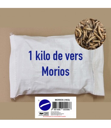 MORIOS