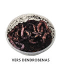 Dendrobenas