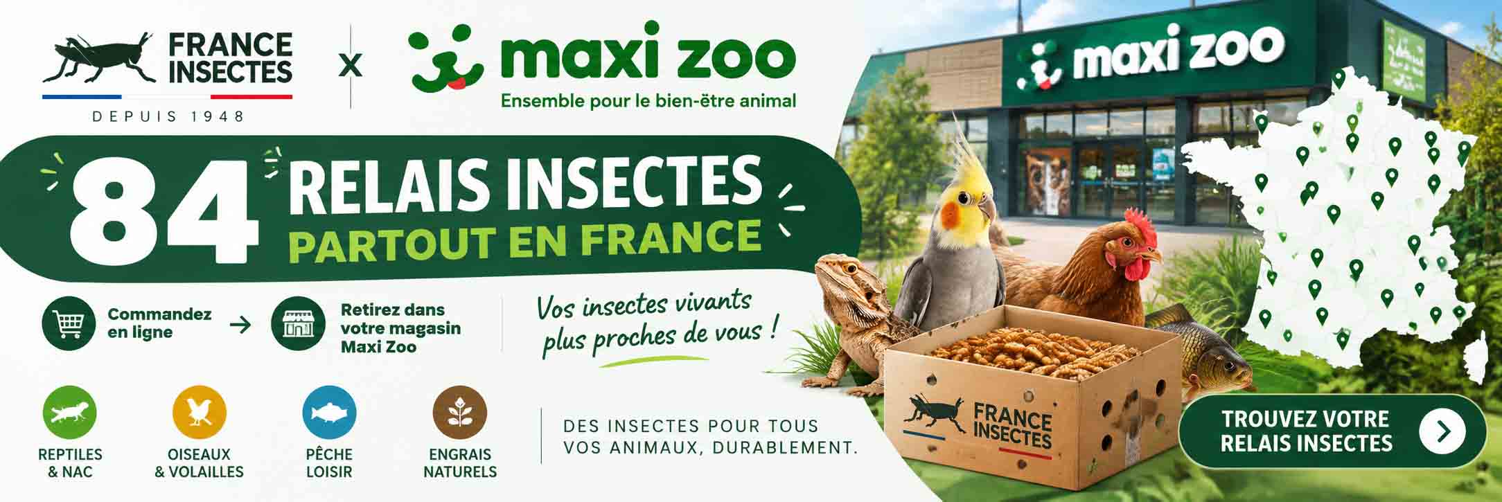 France insectes et maxi zoo partenaire sur les relais insectes.jpg