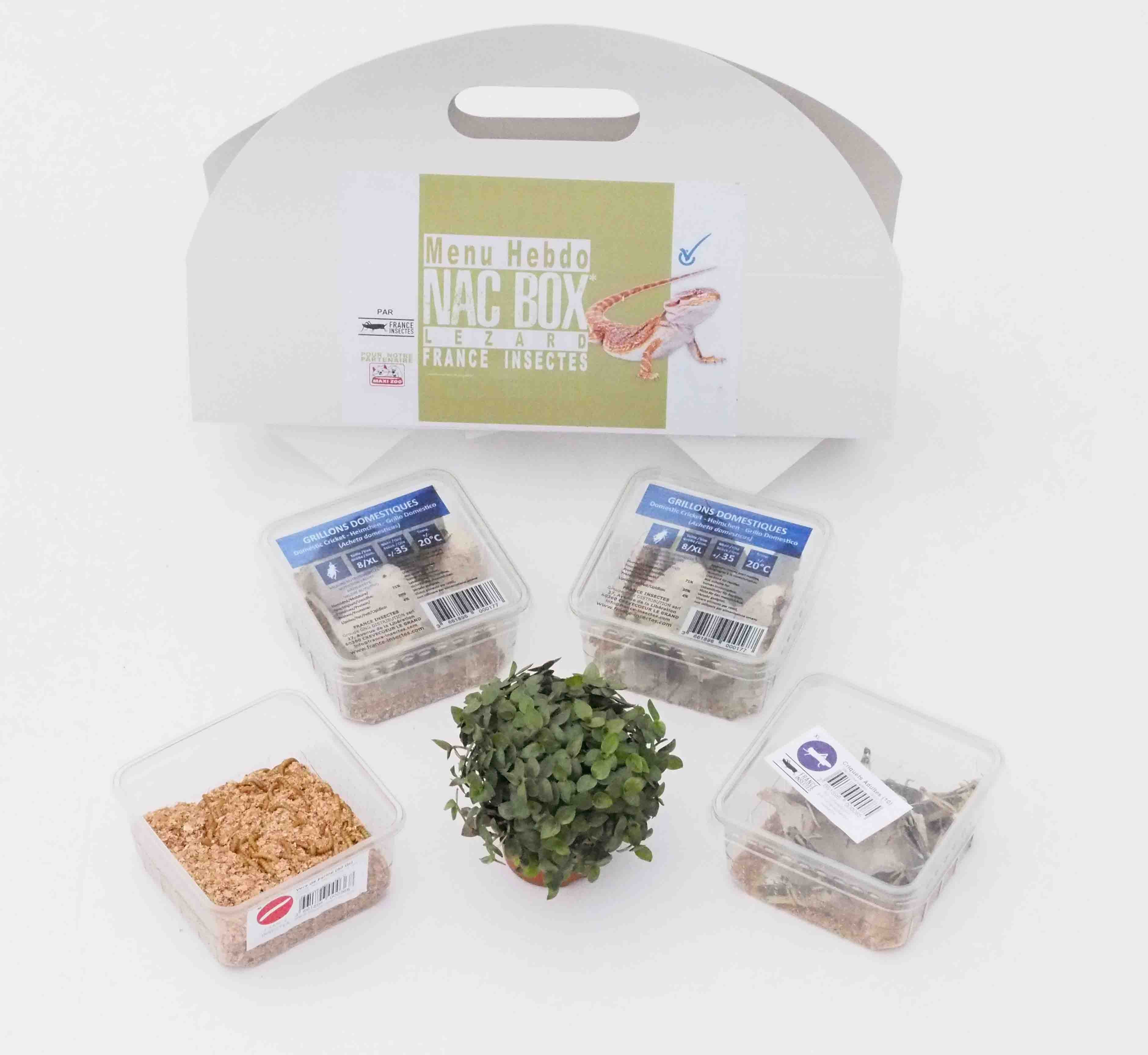 MENU POGONA NAC BOX