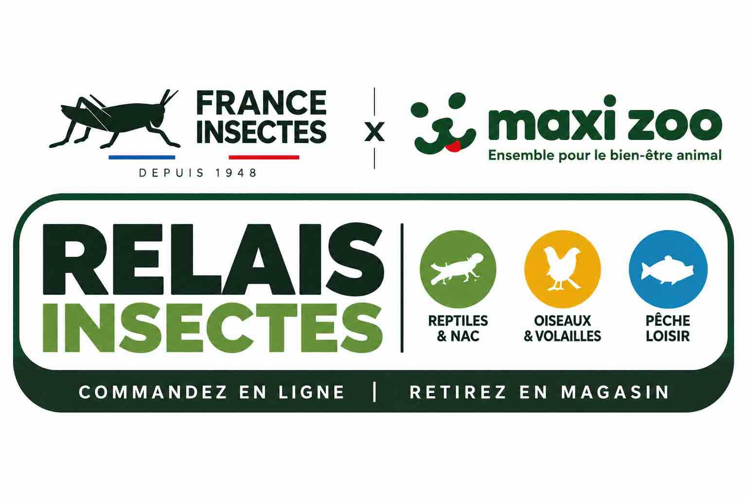 logo relais insectes 2026.jpg