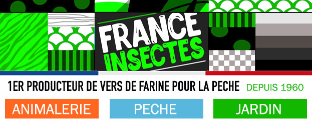 Shop France-Insectes